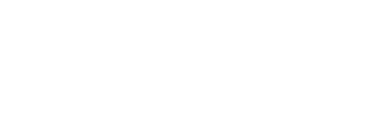 DigitalFlyer Growth